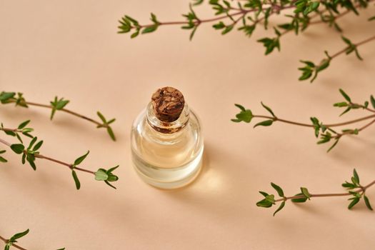 Essential oil bottle with fresh thyme twigs on pastel orange background