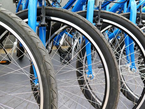 Bicycles for rent stand in a row on a parking