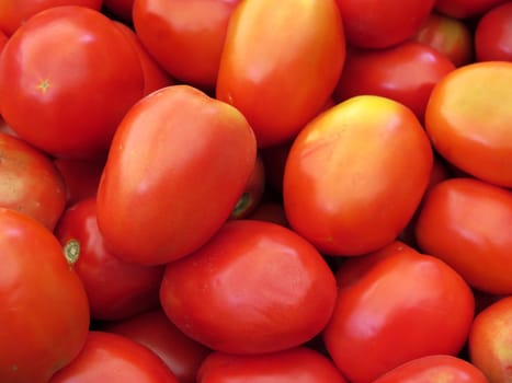 fresh organic Red tomatoes background