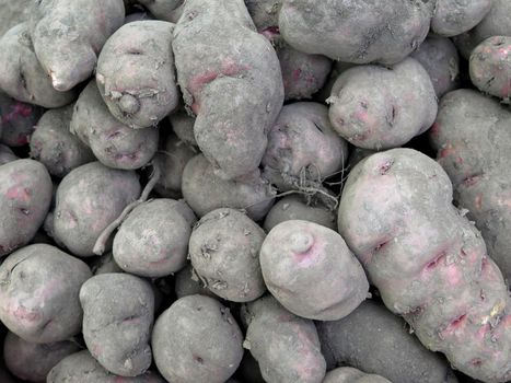 Peruvian Potatoes in the market