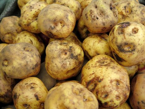 Peruvian Potatoes in the market