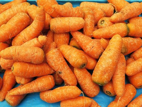 fresh carrots at the market