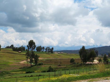 Agricultural field in Sacred Valley, Cusco Region, Peru