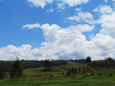 Agricultural field in Sacred Valley, Cusco Region, Peru