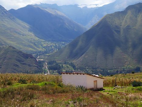 Agricultural field in Sacred Valley, Cusco Region, Peru