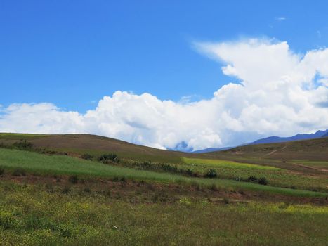 Agricultural field in Sacred Valley, Cusco Region, Peru