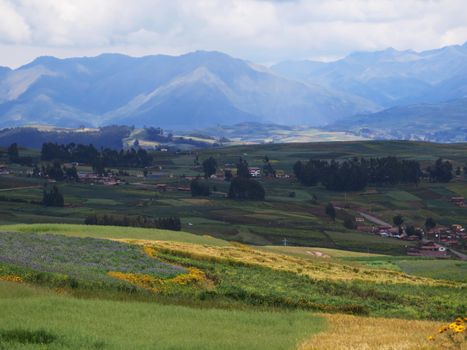 Agricultural field in Sacred Valley, Cusco Region, Peru