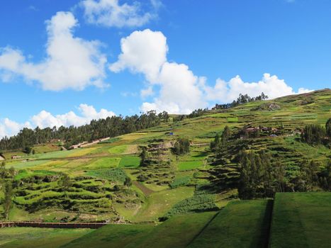 Agricultural field in Sacred Valley, Cusco Region, Peru