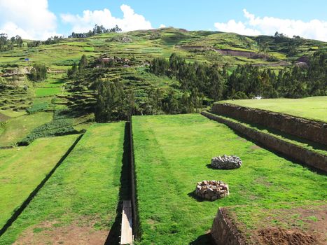 Agricultural field in Sacred Valley, Cusco Region, Peru