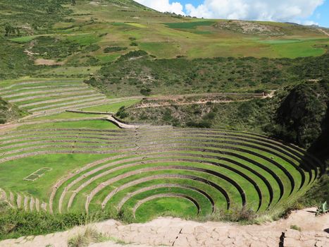 Peru, Moray, ancient Inca circular terraces Probable there is the Incas laboratory of agriculture, Sacred Valley, Cusco