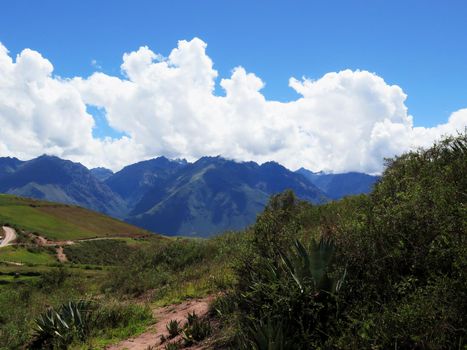 Agricultural field in Sacred Valley, Cusco Region, Peru