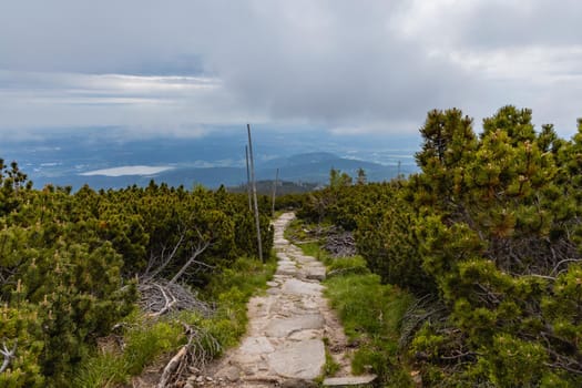 Long mountain trail with panorama of Karkonosze Giant Mountains around