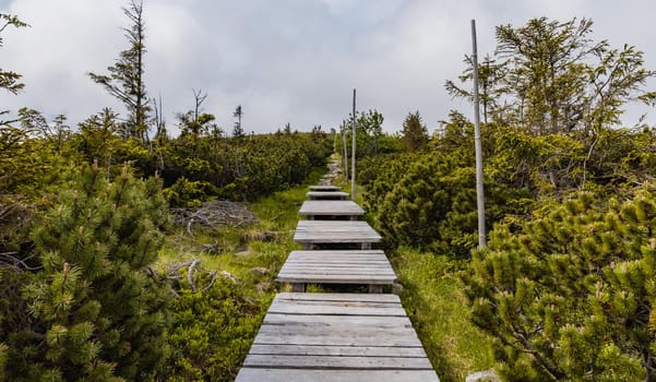 Long mountain trail with panorama of Karkonosze Giant Mountains around