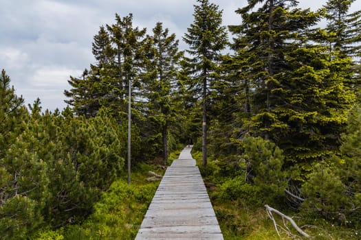 Long mountain trail with panorama of Karkonosze Giant Mountains around