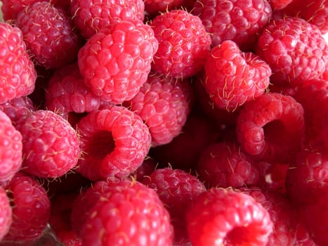 beautiful ripe raspberries fruit background