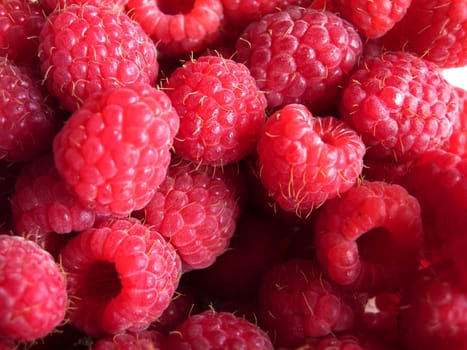 beautiful ripe raspberries fruit background