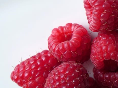 beautiful ripe raspberries on white background