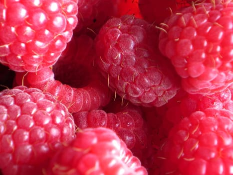 beautiful ripe raspberries fruit background