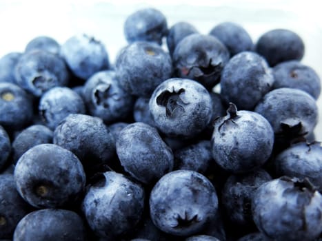 Fresh Ripe Blueberries, fruit background