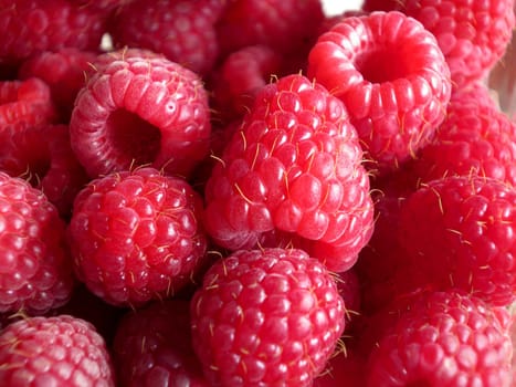 beautiful ripe raspberries fruit background