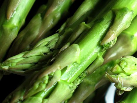 Fresh, green asparagus close-up