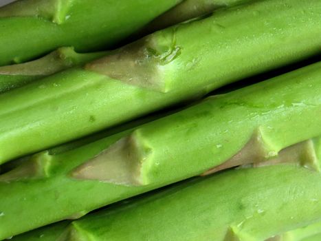 Fresh, green asparagus close-up