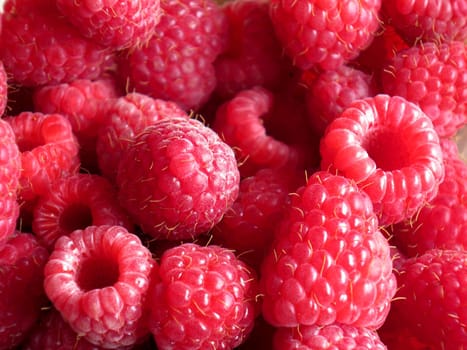 beautiful ripe raspberries fruit background