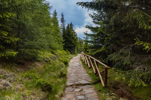 Long mountain trail with panorama of Karkonosze Giant Mountains around