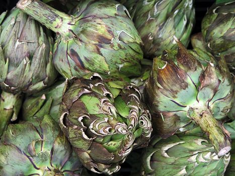 artichoke for sale at the Farmers Market