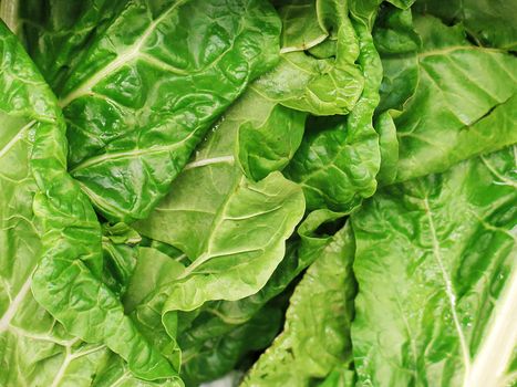 Bunch of Spinach for sale at the Farmers Market