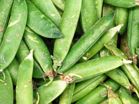 fresh green bean species for sale at the Farmers Market