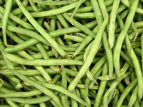 fresh green bean species for sale at the Farmers Market