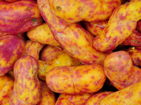 Red Olluquito. Peruvian tuber for sale at the Farmers Market