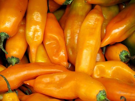 Peruvian yellow chili pepper for sale at the Farmers Market