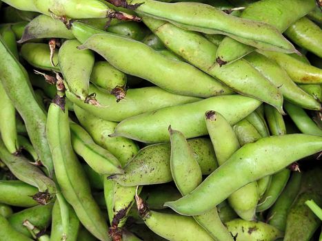 fresh green bean species for sale at the Farmers Market