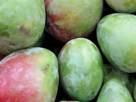 mango fruit for sale at the Farmers Market