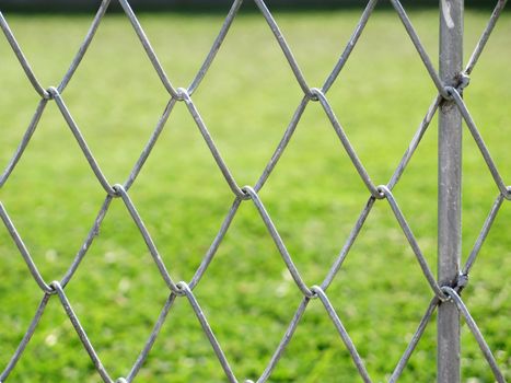 wire fence with grass out of focus background