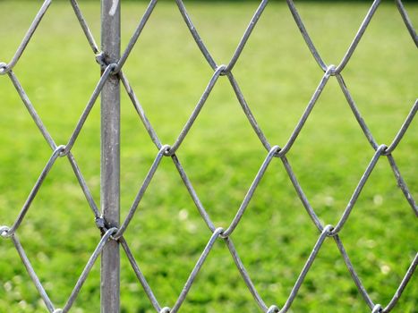 wire fence with grass out of focus background