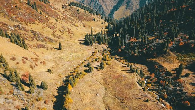 A group of several people is walking along a trail in the mountains. Yellow grass, Golden leaves on the trees, snow in places. Top view from a drone. The ascent to the peak. Cloud shadows are visible.