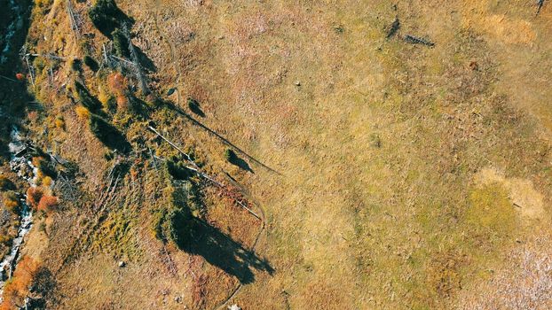 A group of several people is walking along a trail in the mountains. Yellow grass, Golden leaves on the trees, snow in places. Top view from a drone. The ascent to the peak. Cloud shadows are visible.