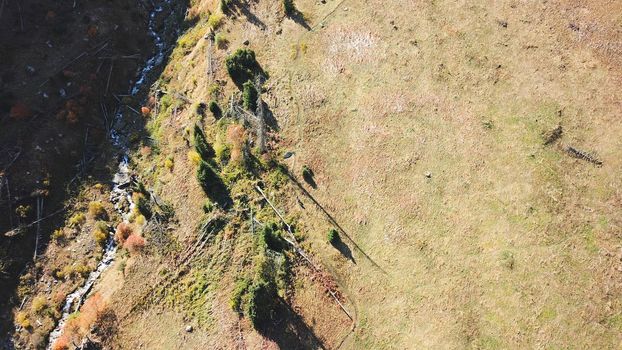 A group of several people is walking along a trail in the mountains. Yellow grass, Golden leaves on the trees, snow in places. Top view from a drone. The ascent to the peak. Cloud shadows are visible.