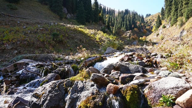 River in the gorge of mountains and forests. Autumn time. Yellow leaves on the trees, the grass is green-yellow. Moss is green on the rocks. A small river with a cascade of water. Forest landscape.