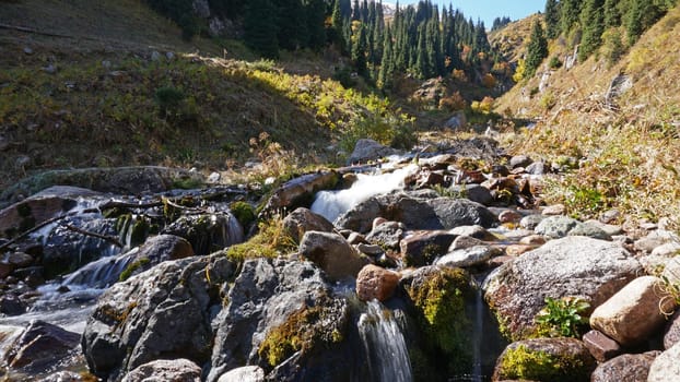 River in the gorge of mountains and forests. Autumn time. Yellow leaves on the trees, the grass is green-yellow. Moss is green on the rocks. A small river with a cascade of water. Forest landscape.