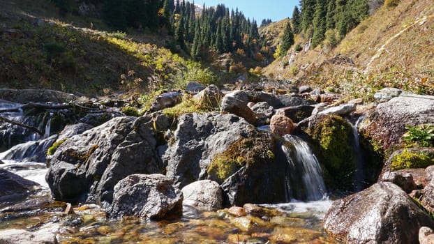 River in the gorge of mountains and forests. Autumn time. Yellow leaves on the trees, the grass is green-yellow. Moss is green on the rocks. A small river with a cascade of water. Forest landscape.