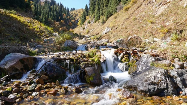River in the gorge of mountains and forests. Autumn time. Yellow leaves on the trees, the grass is green-yellow. Moss is green on the rocks. A small river with a cascade of water. Forest landscape.