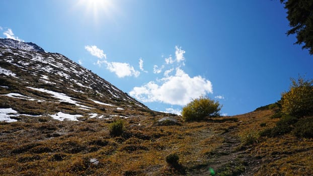 Landscape of autumn mountains and forests. Leaves on trees and bushes, grass shimmer orange-yellow. The fir trees are green, the sky is blue. There is snow on the mountains and hills in some places.