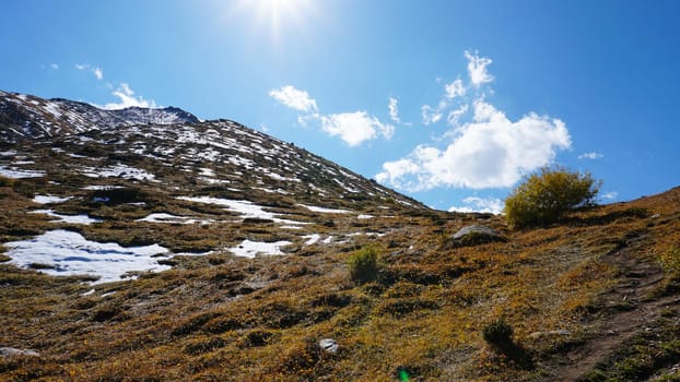 Landscape of autumn mountains and forests. Leaves on trees and bushes, grass shimmer orange-yellow. The fir trees are green, the sky is blue. There is snow on the mountains and hills in some places.