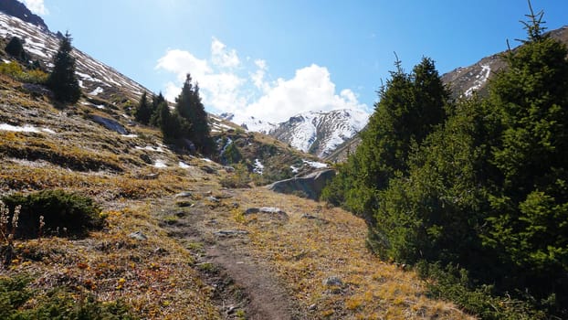 Landscape of autumn mountains and forests. Leaves on trees and bushes, grass shimmer orange-yellow. The fir trees are green, the sky is blue. There is snow on the mountains and hills in some places.