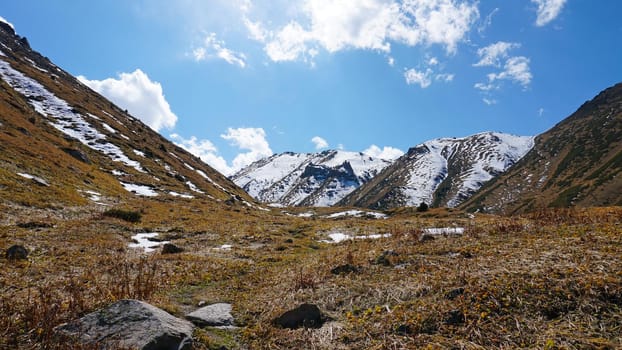 Landscape of autumn mountains and forests. Leaves on trees and bushes, grass shimmer orange-yellow. The fir trees are green, the sky is blue. There is snow on the mountains and hills in some places.