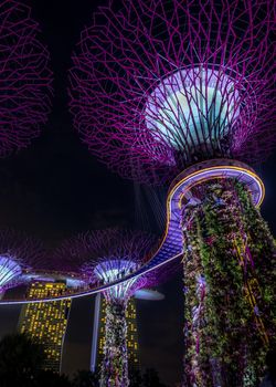 View of Garden by the bay at night - Singapore